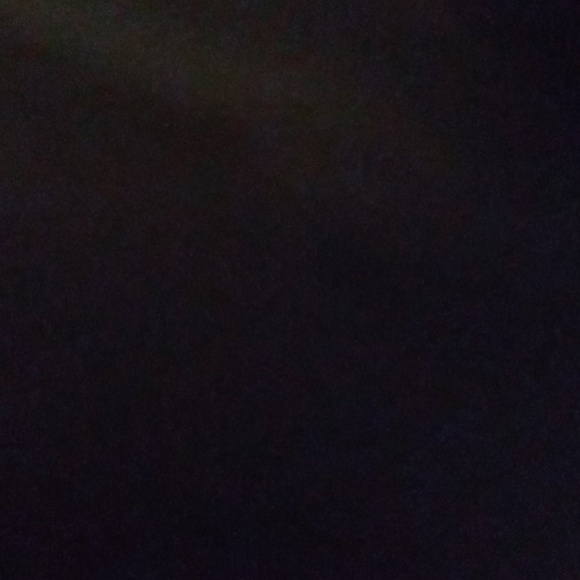 Meet your Posher, Baylee - Picture 1 of 1